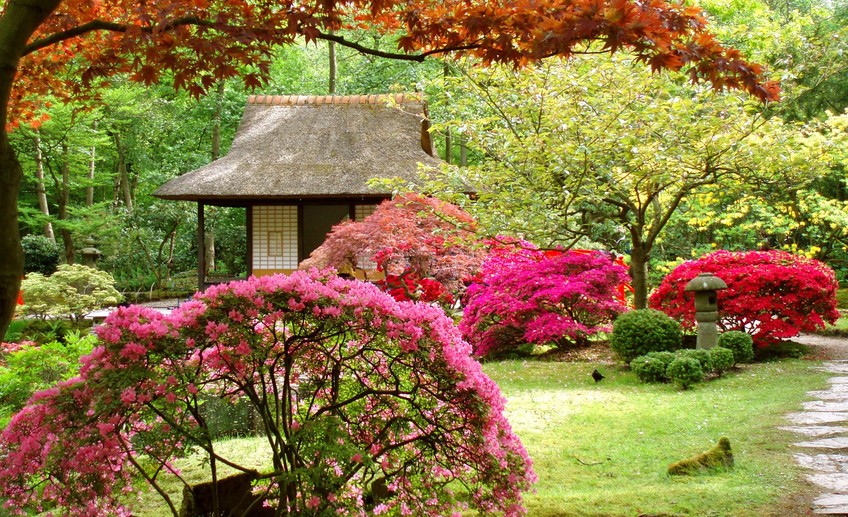 Японский садик на даче своими руками