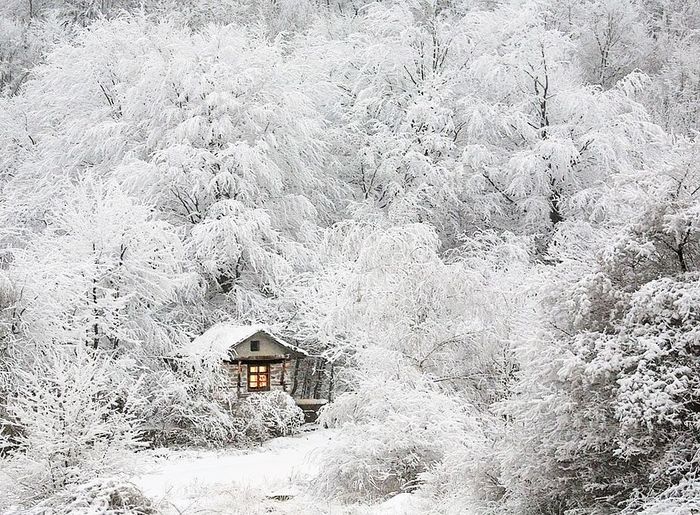 Фото Домика В Лесу Зимой