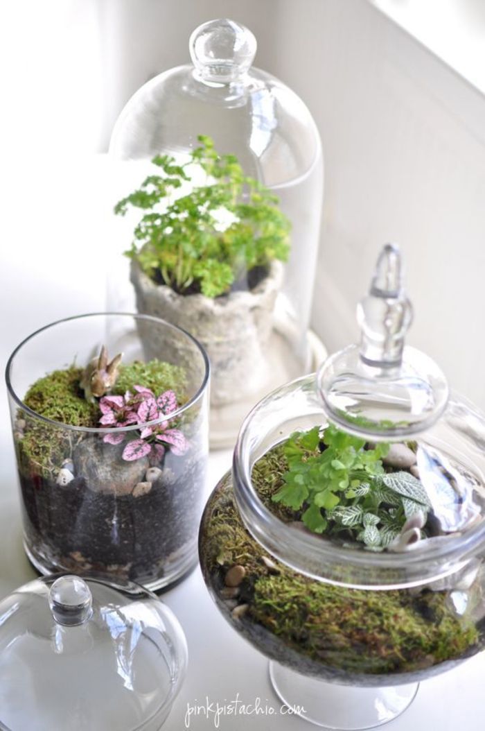 decoration diy easter terrariums ideas with unique glass jars and moss featuring herbal plant and soil create easy easter terrarium decorations