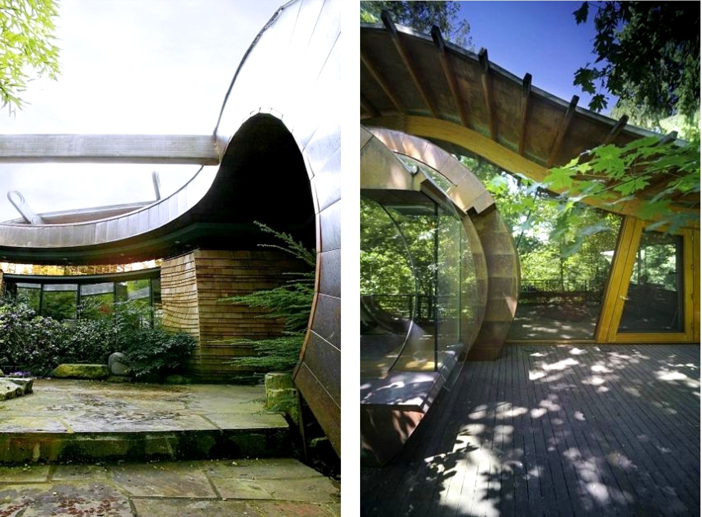 лесной дом эко-дизайн