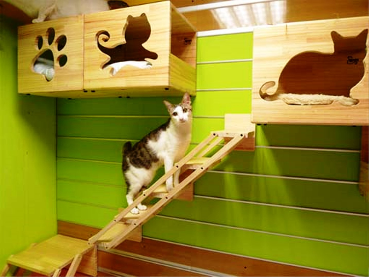 Домик для кошки с лестницей