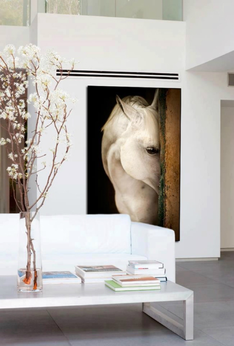 Фотообои лошади на стену в интерьере
