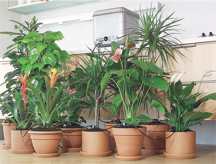 система автополива для комнатных растений