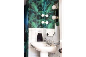 Thumb 01e162b8bb349cf29273aea3720be3fa