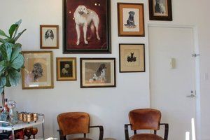 Thumb doggallerywall