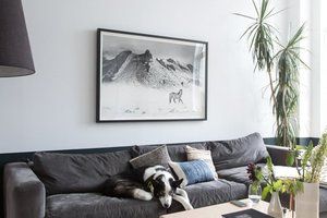 Thumb jenny chris selects 34