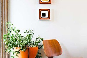 Thumb 50e5b403dbd0cb6d8100772a. w.540 s.fit 