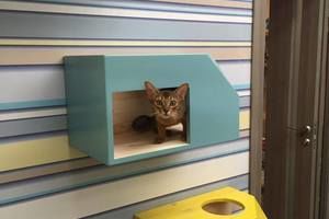 Thumb 10472980 909127405809370 849074936 n