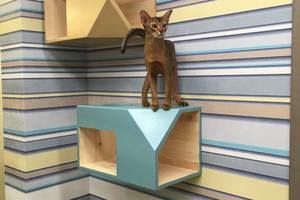 Thumb 12366792 909127382476039 337535161 n