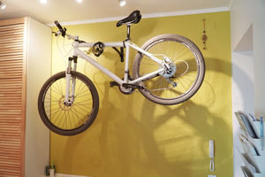 Thumb                  1