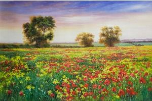Thumb romm kartina maslom prirodnyj pejzazh maslom letnij maki i raps ar161110