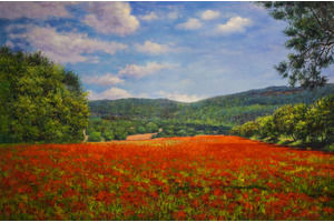 Thumb romm kartina maslom prirodnyj pejzazh maslom letnij razdolie makovyh polej ar161111