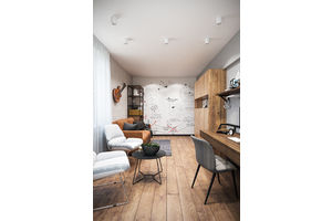 Thumb 1           living room01