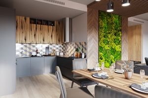 Thumb 1           living room06