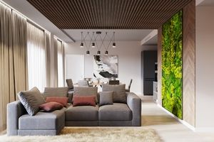 Thumb 1           living room01