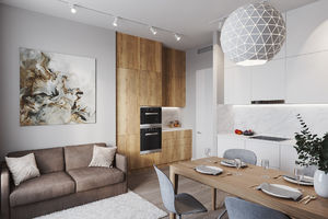 Thumb 1           living room01