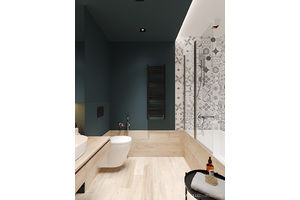 Thumb 008 galina flat final 040