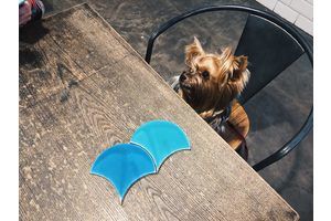 Thumb 2018 04 21 18.17.26