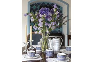 Thumb 12224351 1507745792885684 479509379 n